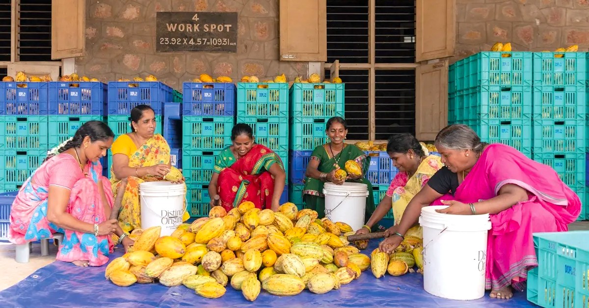 Women at Mcofas Choclated in Munnar, kerala, India Women at Mcofas Choclated in Munnar, kerala, India