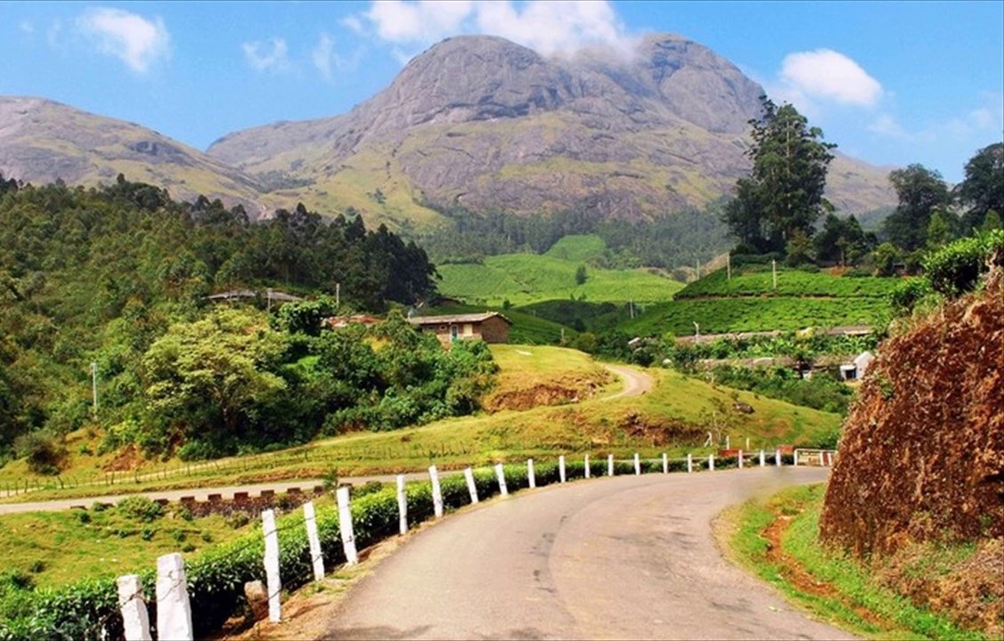 Experience the serene beauty of Palani Hills in Tamil Nadu, South India, where verdant tea plantations line winding mountain roads leading to the sacred Murugan Temple perched atop lush peaks.