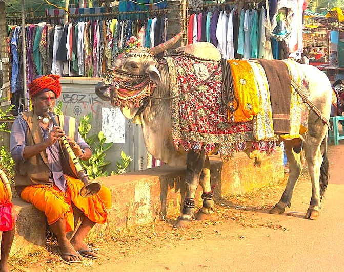 Experience India's vibrant culture at the Goa Flea Market near the beaches, then explore Mahadev Temple Tambdi Surla, Goa, the Fontainhas Portuguese French Quarter, and Old Goa's Unesco churches like Bom Jesus Basilica. Experience India's vibrant culture at the Goa Flea Market near the beaches, then explore Mahadev Temple Tambdi Surla, Goa, the Fontainhas Portuguese French Quarter, and Old Goa's Unesco churches like Bom Jesus Basilica.
