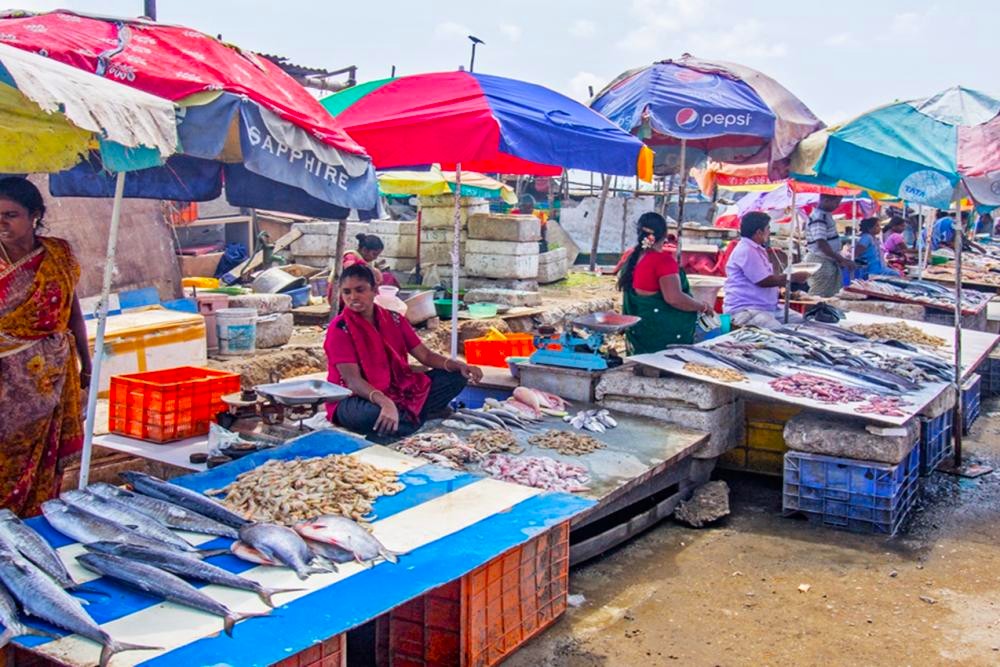 Seafood breakfast Marina beach