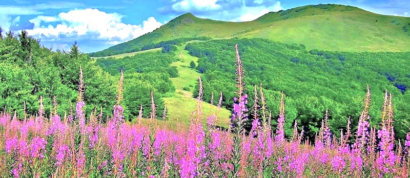 The Mugal Gardens- Chashma, Nishat and Shalimar gardens, Lidder River Pahalgam, and Pampore Saffron fields are key sites in the Himalayas, near Betaab Valley. Kashmir-Srinagar is a Unesco city of arts, the region's cultural heart. The Mugal Gardens- Chashma, Nishat and Shalimar gardens, Lidder River Pahalgam, and Pampore Saffron fields are key sites in the Himalayas, near Betaab Valley. Kashmir-Srinagar is a Unesco city of arts, the region's cultural heart.