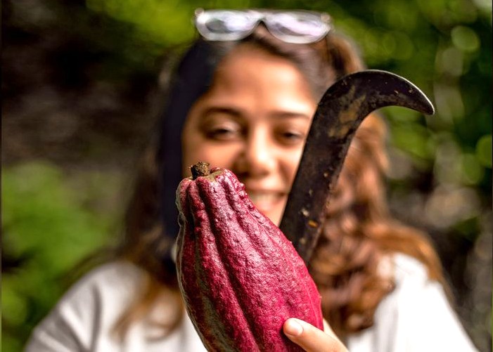 Smiling woman exploring a thriving cocoa pod farm in lush Munnar hills, Southern India’s Kerala region, showcasing tropical agriculture, sustainable cocoa cultivation and scenic eco-tourism.