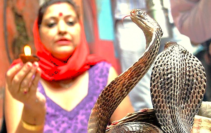 A woman performs a snake ritual in Mysore, Karnataka, India, a city famed for Mysore Palace, attracting tourists visiting Bangalore and the Tipu Sultan Palace ('Tiger of Mysore').