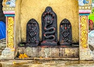 Nagas Nagas
