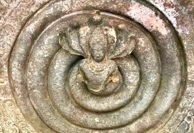Nagas Nagas