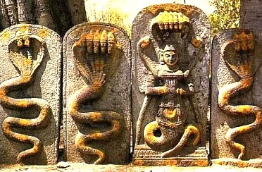 Nagas Nagas