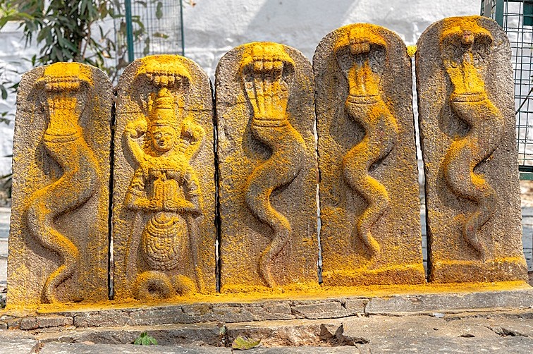 Naga snake stones at Nandi Bull Temple in Bangalore, Karnataka, India, a site near Tipu Sultan Palace ('Tiger of Mysore') for tourists visiting near Mysore Palace.