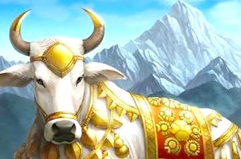 Nandi Nandi