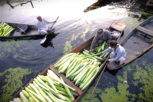 Local vendors trade fresh vegetables from shikaras on Nigeen Lake, a sight from the Nehru Ghat shikara boat tour in Srinagar, Jammu and Kashmir, India.