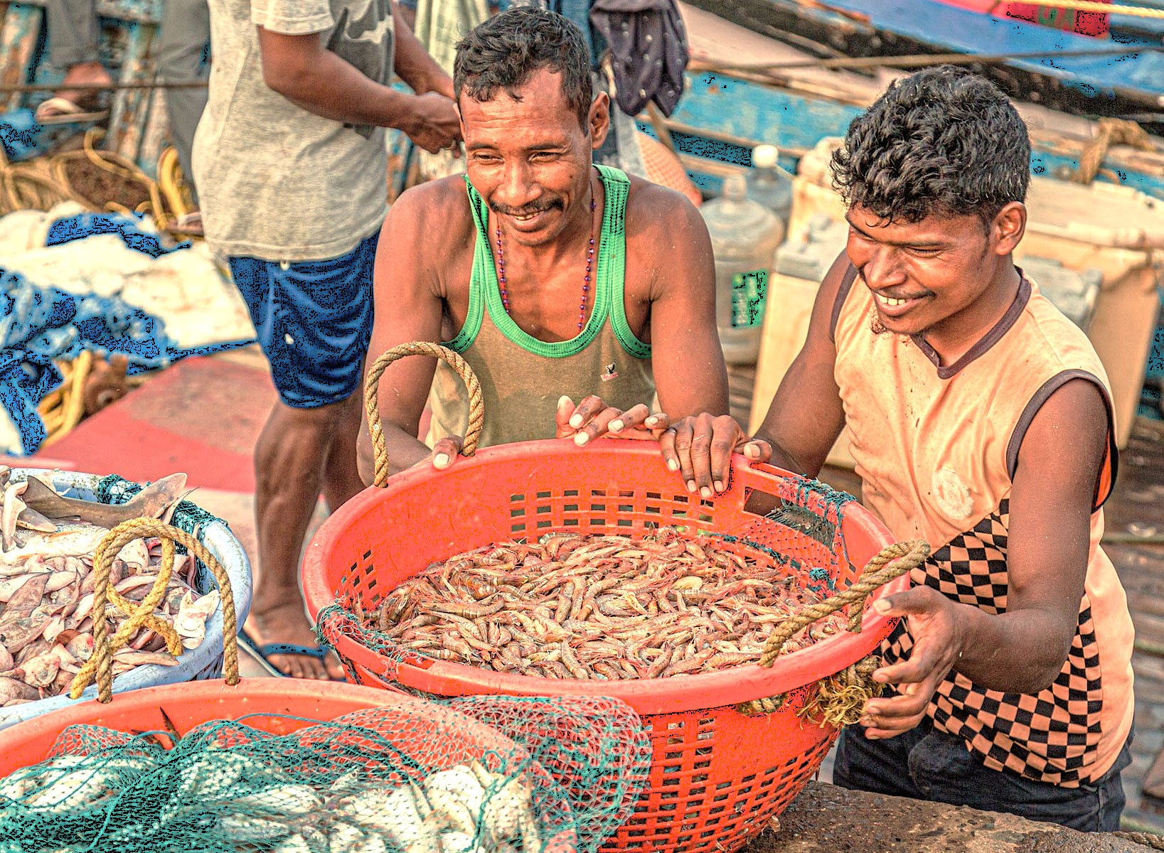 Fishermen in Goa, India, hold a basket of fresh shrimp, a typical scene on the beaches near historic Old Goa-Unesco churches like the Church of Saint Augustine. Fishermen in Goa, India, hold a basket of fresh shrimp, a typical scene on the beaches near historic Old Goa-Unesco churches like the Church of Saint Augustine.