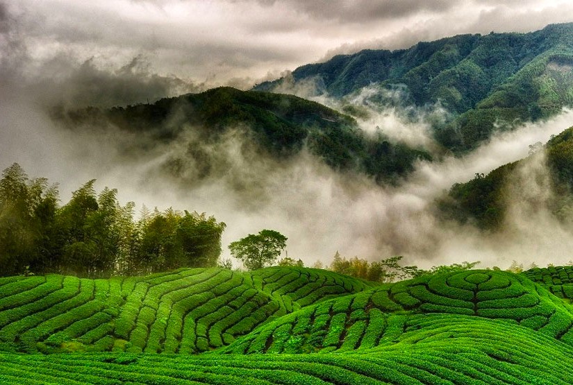 Ooty 