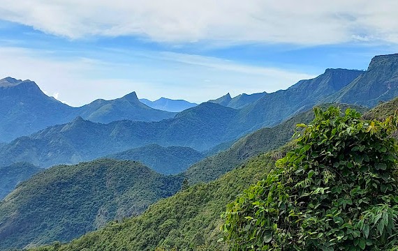 Palani Hills