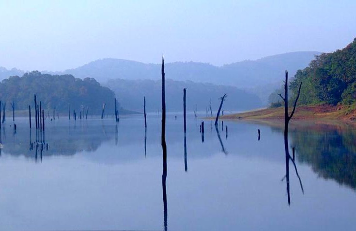 Periyar river