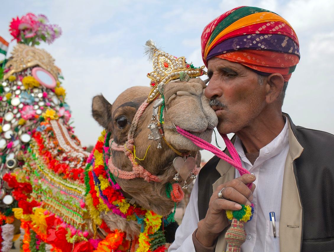 Traditional camel decorated with vibrant ornaments stands alongside its Rajasthan owner at the Pushkar Camel Fair in India, located between Jaipur and Agra on the route to the Taj Mahal.