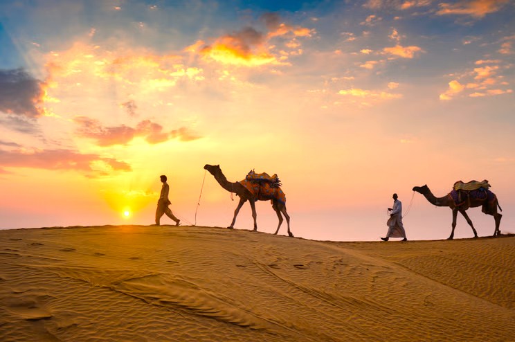 Silhouetted camel caravan crosses golden Thar Desert dunes at sunset, near Rajasthan’s sand sea, evoking the essence of an India Railway Journey from Delhi to Bikaner into the desert’s heart.