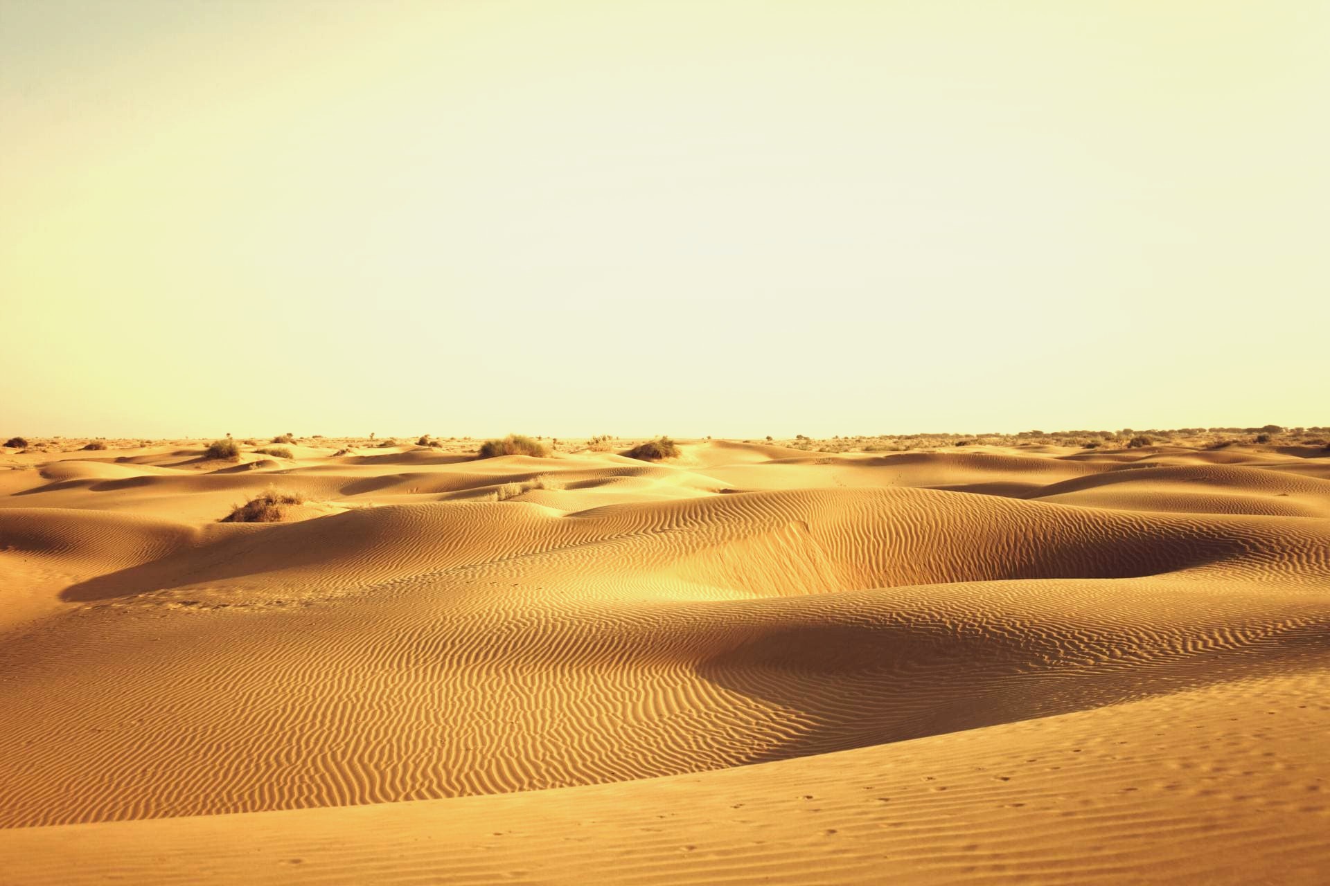 Golden sand dunes of the Thar Desert unfold as the India Rajasthan train on its Railway Journey from Delhi to Bikaner weaves through arid landscapes, revealing villages and desert horizons.