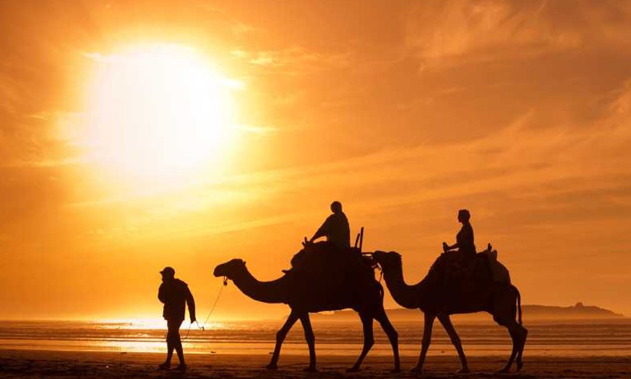 Silhouetted camel riders traverse golden desert dunes at sunset by a tranquil waterbody, capturing serene desert landscape charm in the Thar desert, Rajasthan, India’s tourism uniquely highlights. Silhouetted camel riders traverse golden desert dunes at sunset by a tranquil waterbody, capturing serene desert landscape charm in the Thar desert, Rajasthan, India’s tourism uniquely highlights.