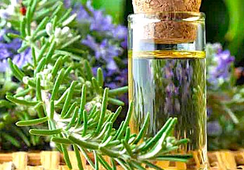 Rich rosemary essential oil in a glass vial surrounded by lavender and rosemary sprigs evokes Mysore, Karnataka’s premium Mysore oils and incense heritage in India.