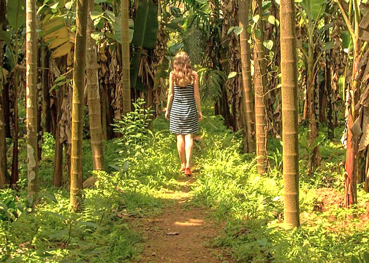 A tourist takes a nature walk on a lush path at the Sahyadri Spice Farm in Goa, India, near Karnataka and the Old Goa St. Francis Church UNESCO churches. A tourist takes a nature walk on a lush path at the Sahyadri Spice Farm in Goa, India, near Karnataka and the Old Goa St. Francis Church UNESCO churches.