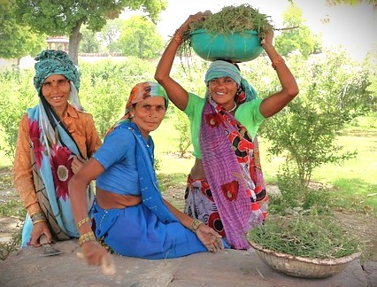 Three smiling Indian women in colorful traditional sarees, one carrying a basket, represent local life for tourists visiting Kochi, Karnataka, and the iconic Chinese fishing nets nearby. Three smiling Indian women in colorful traditional sarees, one carrying a basket, represent local life for tourists visiting Kochi, Karnataka, and the iconic Chinese fishing nets nearby.