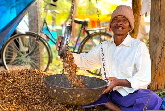 “Cheerful elderly coffee bean vendor uses colorful traditional balance scale at aromatic, bustling Shanmukha Temple market in Bangalore, Karnataka, India, capturing vibrant local commerce authenticity.” “Cheerful elderly coffee bean vendor uses colorful traditional balance scale at aromatic, bustling Shanmukha Temple market in Bangalore, Karnataka, India, capturing vibrant local commerce authenticity.”