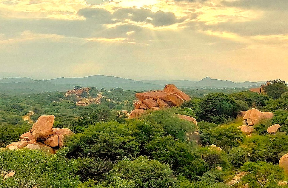 A sloth bear and cub in the rocky landscape of the Daroji Sloth Bear Sanctuary, Hampi, Karnataka, India—a wildlife haven near the UNESCO Vittala Temple and Elephant Stables. A sloth bear and cub in the rocky landscape of the Daroji Sloth Bear Sanctuary, Hampi, Karnataka, India—a wildlife haven near the UNESCO Vittala Temple and Elephant Stables.