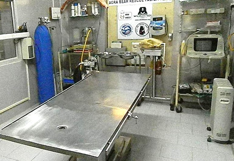 The veterinary clinic at the SOS Wildlife Conservation Center in Agra, India, is foundational to the healing relationship with rescued animals, an insightful stop for tourists visiting the Taj Mahal, Agra Fort, the Unesco site Fatehpur Sikri Fort, and Keoladeo National Park. The veterinary clinic at the SOS Wildlife Conservation Center in Agra, India, is foundational to the healing relationship with rescued animals, an insightful stop for tourists visiting the Taj Mahal, Agra Fort, the Unesco site Fatehpur Sikri Fort, and Keoladeo National Park.