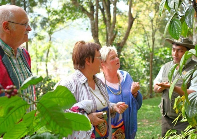 The air itself is fragrant with adventure. Here, you will do more than just see spices; you'll experience them with all your senses. Imagine crushing a cardamom pod between your fingers, inhaling the scent of cloves, and seeing vibrant turmeric pulled fresh from the soil. Guides share secrets of Ayurveda, explaining how these treasures are used for both flavor and healing and witness sustainable farming methods local's have with the land. The air itself is fragrant with adventure. Here, you will do more than just see spices; you'll experience them with all your senses. Imagine crushing a cardamom pod between your fingers, inhaling the scent of cloves, and seeing vibrant turmeric pulled fresh from the soil. Guides share secrets of Ayurveda, explaining how these treasures are used for both flavor and healing and witness sustainable farming methods local's have with the land.