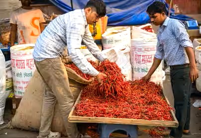 Chilli