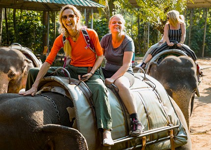 Tourists on an elephant ride in southern India jungle safari, exploring Tamil Nadu heritage trails, southern India countryside adventure, showcasing wildlife, culture and outdoor excitement. Tourists on an elephant ride in southern India jungle safari, exploring Tamil Nadu heritage trails, southern India countryside adventure, showcasing wildlife, culture and outdoor excitement.