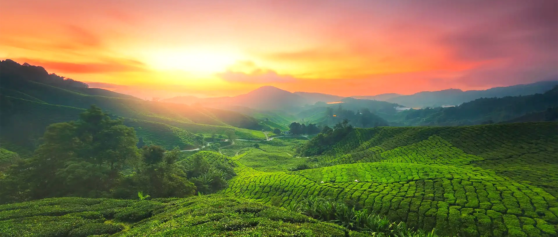 Munnar