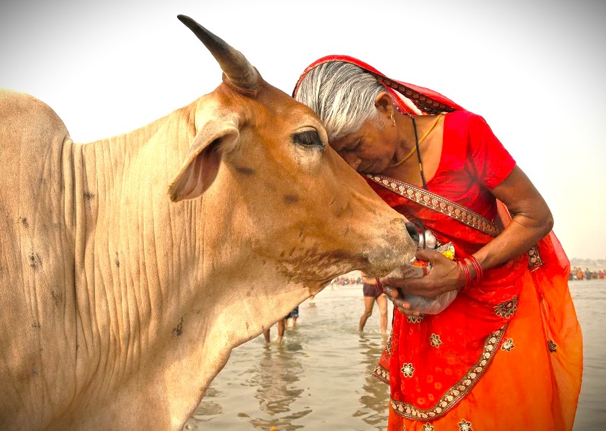 Connect with the authentic soul of India in Mumbai, journeying through the UNESCO Elephanta Caves, Dhobi Ghat Laundry, and Dharavi slums to find moments of reverence amidst the city energy. Connect with the authentic soul of India in Mumbai, journeying through the UNESCO Elephanta Caves, Dhobi Ghat Laundry, and Dharavi slums to find moments of reverence amidst the city energy.