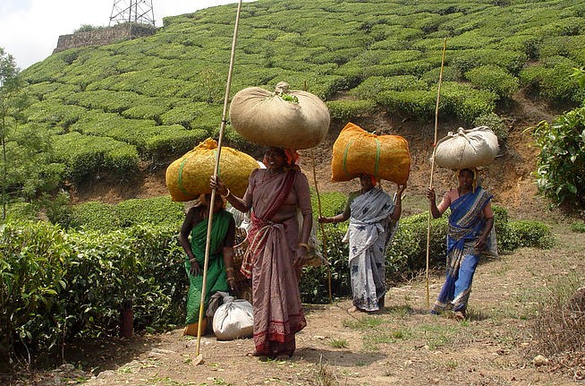 Munnar