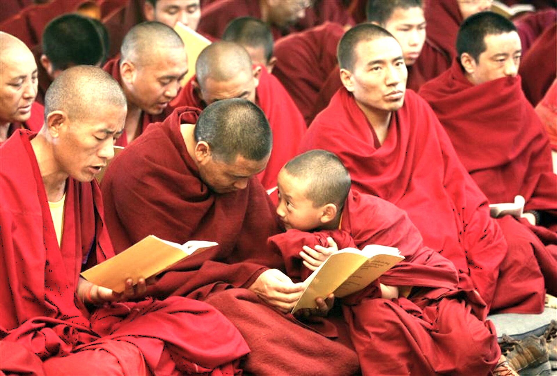 After the massive influx of refugees in the late 1950s and early 1960s, many Tibetan migrants faced numerous challenges in establishing their new home. Despite the initial hardships, these individuals found strength in their community and culture, transforming a small trading post into a thriving marketplace. The market has faced adversities, including occasional political tensions and economic challenges. Yet, their unwavering spirit prevailed, allowing their traditions to flourish. This remarkable perseverance ensured the market's growth and continued success. It stands as a beacon of their heritage.  