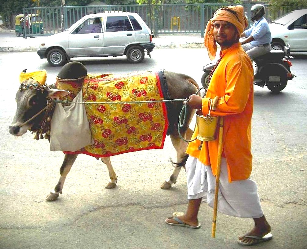 India's spectacular Qutb Minar, a towering red sandstone and marble UNESCO World Heritage Site in Delhi, is an essential historical sight to see and do.
