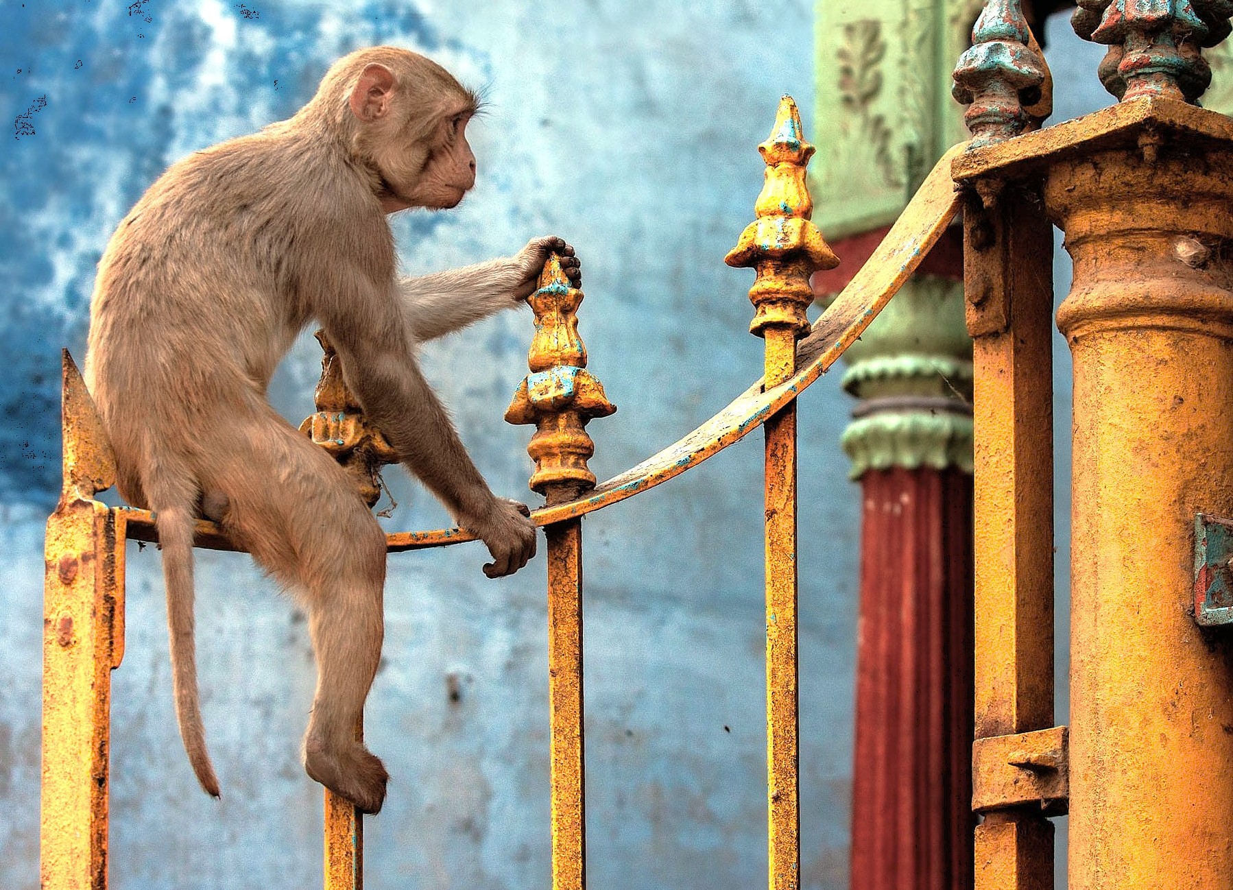 SEO-create a 30 word sentance-SEO high ranking key word Alt Text association - relationship - key words for the subject or nearby Key words-place-combine and create one sentance -include :- India, Varanasi, near Sarnath-Unesco site, Mehrotra-silks