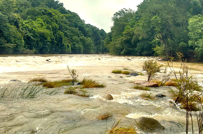 Explore a wild river flowing through the Deccan Plateau in Karnataka, India, bordering UNESCO Western Ghats, showcasing lush forests, vibrant biodiversity, dynamic water ecosystems, and pristine natural landscapes for eco-adventure.